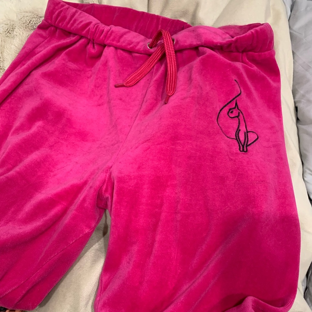 baby phat track pants